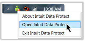 Open Intuit Data Protect - Screenshot